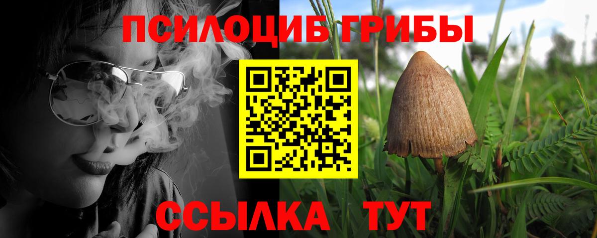 Галлюциногенные грибы GOLDEN TEACHER Новочеркасск